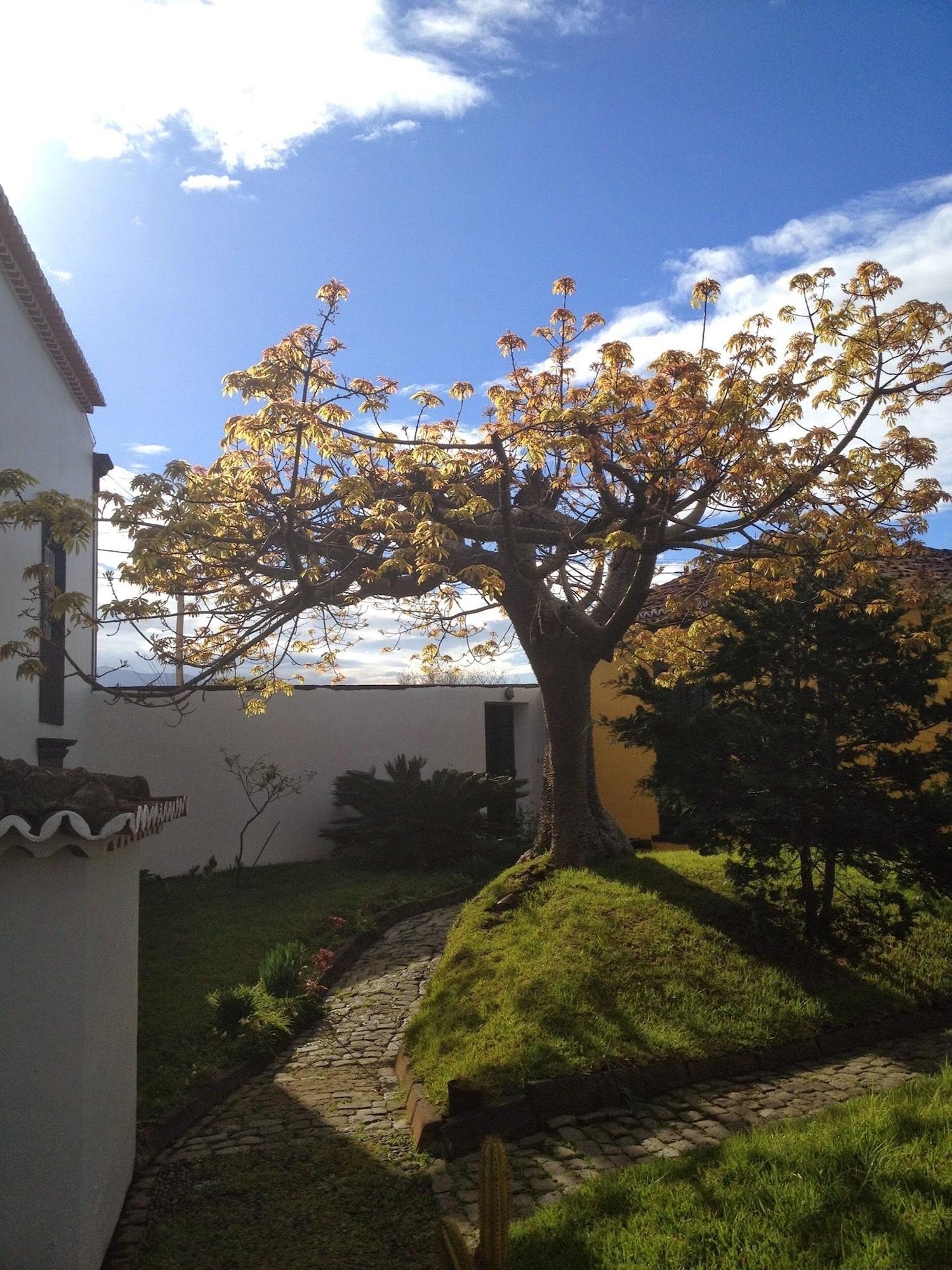 Casa Das Calhetas - Turismo De Habitacao Luaran gambar
