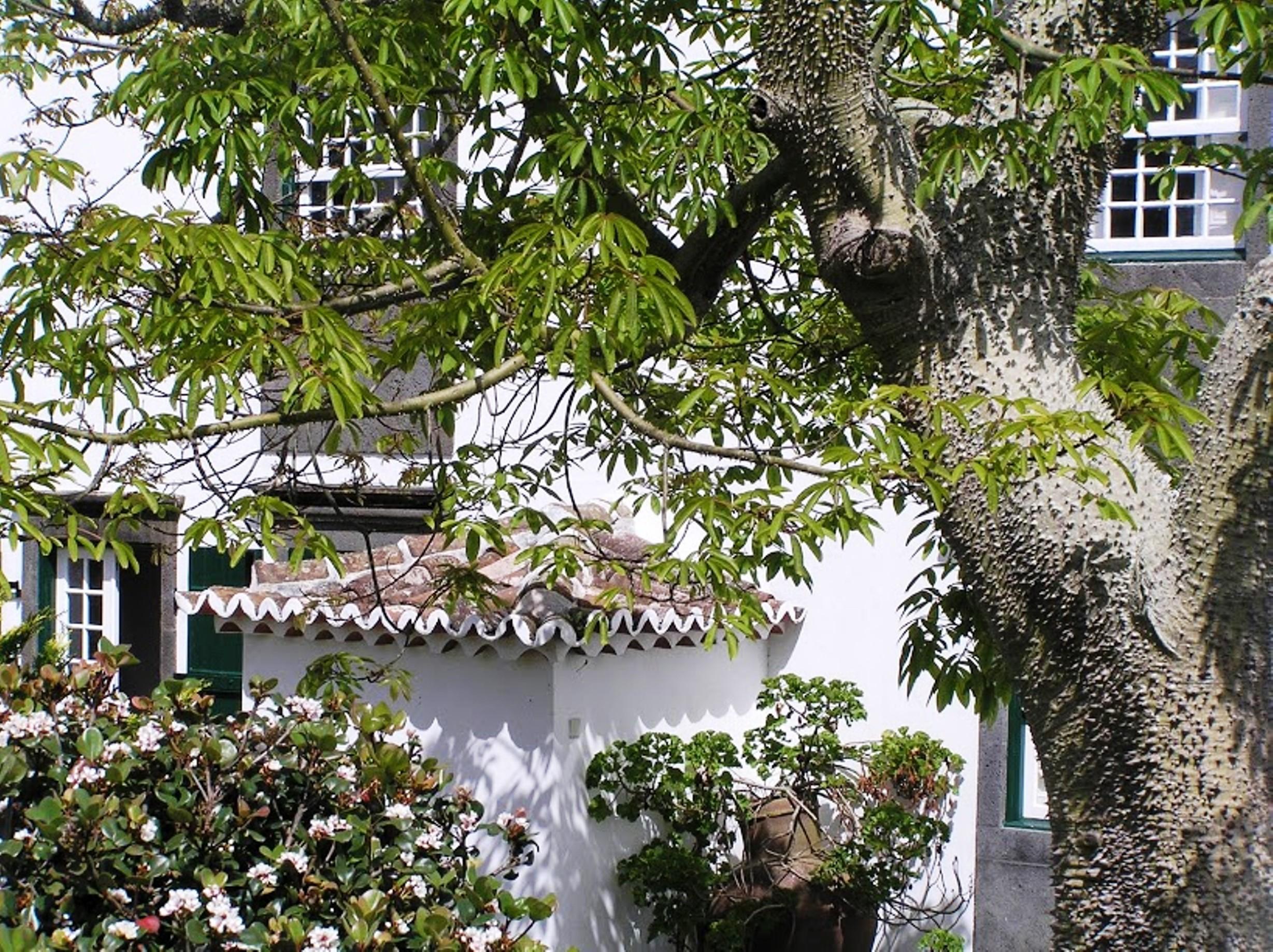 Casa Das Calhetas - Turismo De Habitacao Luaran gambar